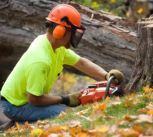 tree services Murraysville